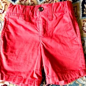 Adorable chino shorts